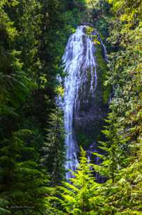 Proxy Falls-4006.jpg Proxy Falls-4006.jpg